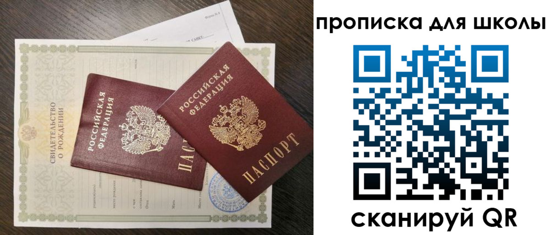прописка гарантия в Химках